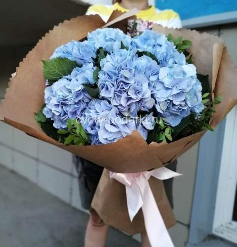 Букет гортензий «Niko Blue»